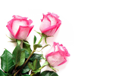 1501828 (a): :2560x1440